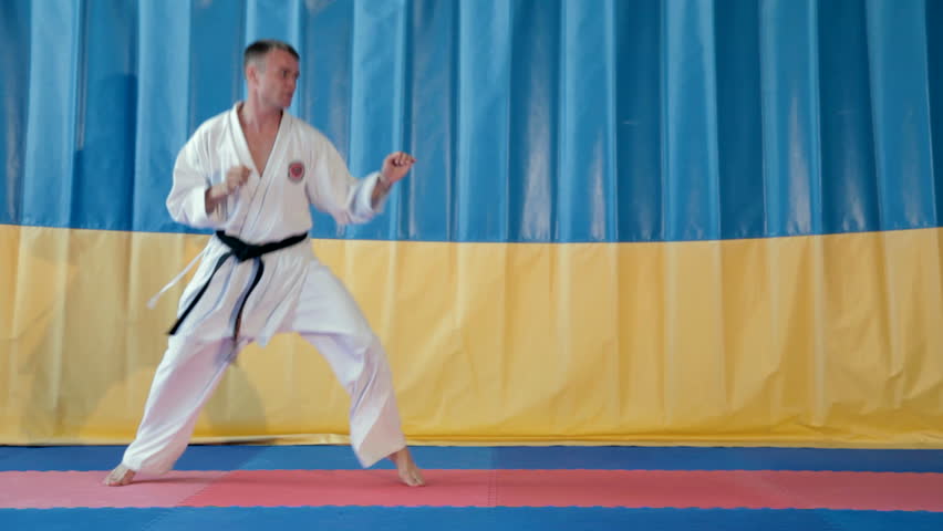 Martial artist doing a kick