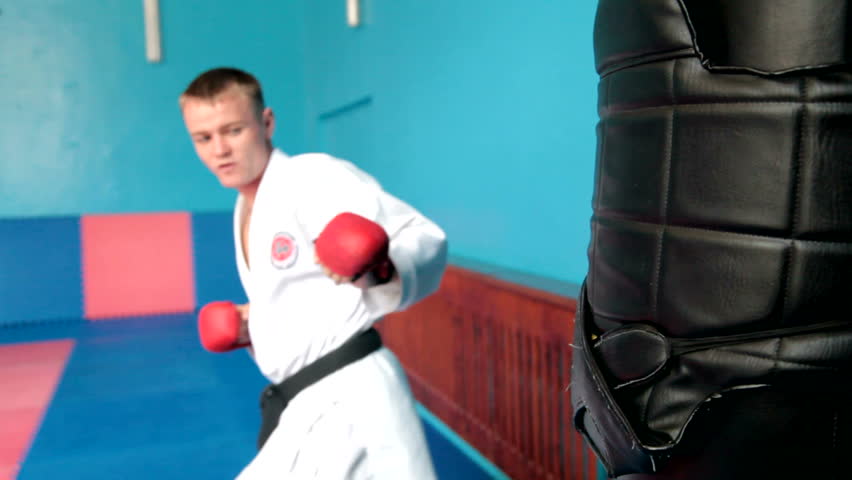 Martial artist doing a kick