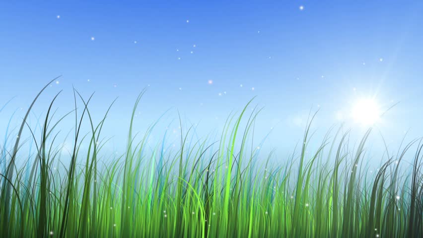 moving grass with sky and sun