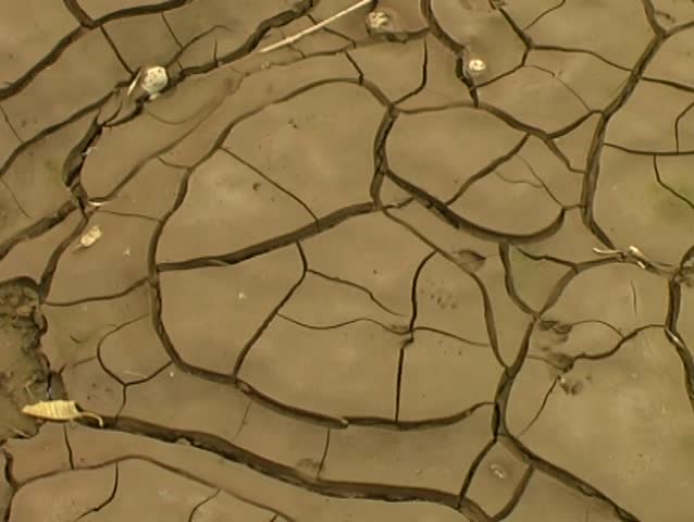 cracked mud at the bottom of a dried pond