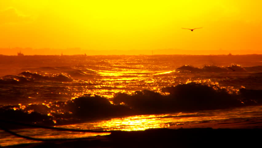 Morning Sea