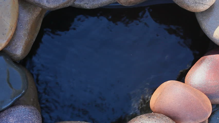 Daisy florets fall into water, one by one, then float on surface of tranquil waterscape surrounded by smooth, wet. rocks.