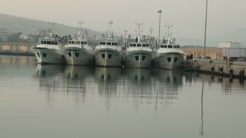 the fishing boats in the harbor