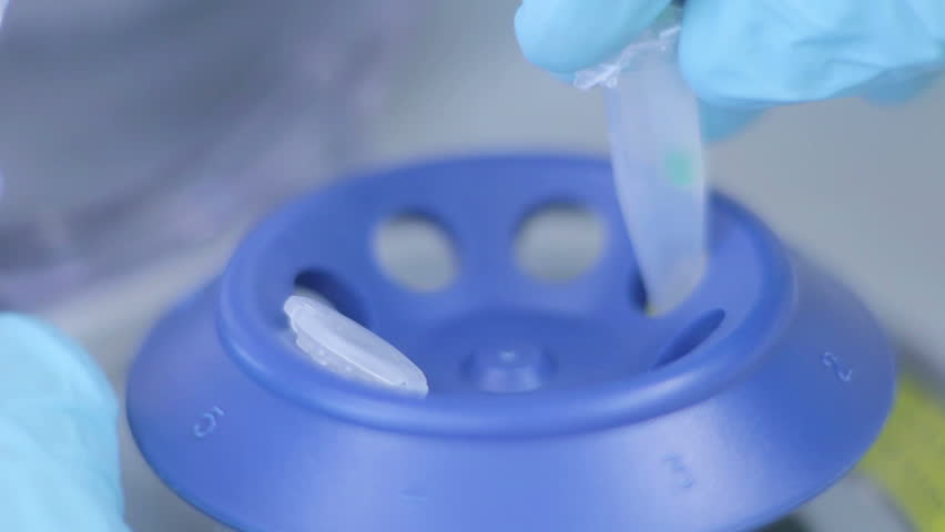 bio lab and experiment