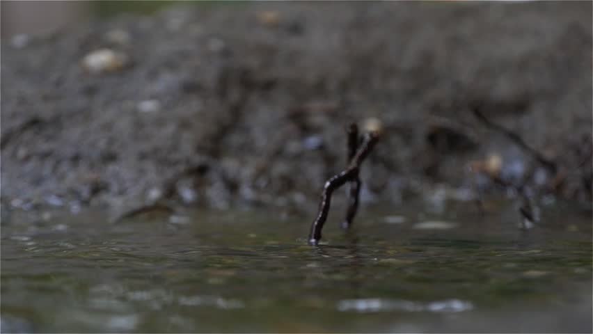 Watch Love Affair HD 1080P