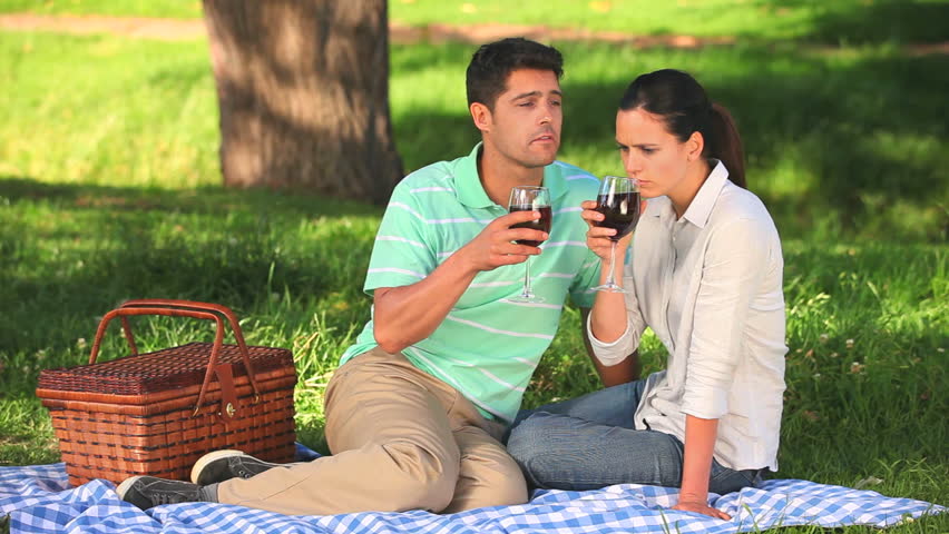 Attractive couple drinking red wine before taking a picnic in a park
