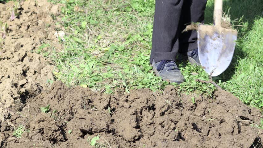 Soil Digging