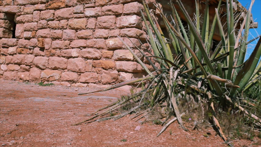The camera dollies past a Yucca plant to an adobe brick hut.