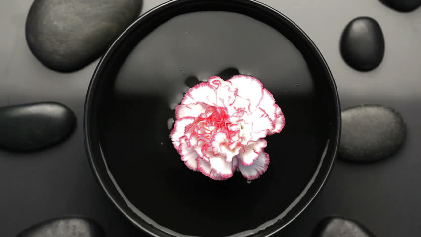 Beautiful flower surrounded by black stones turning on itself 