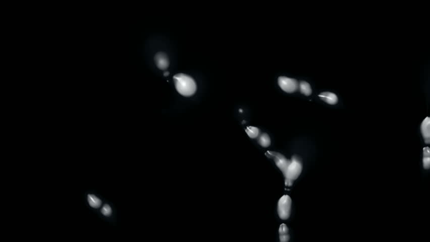 flow mitochondria and micro,wiggly maggot,cell and spores.