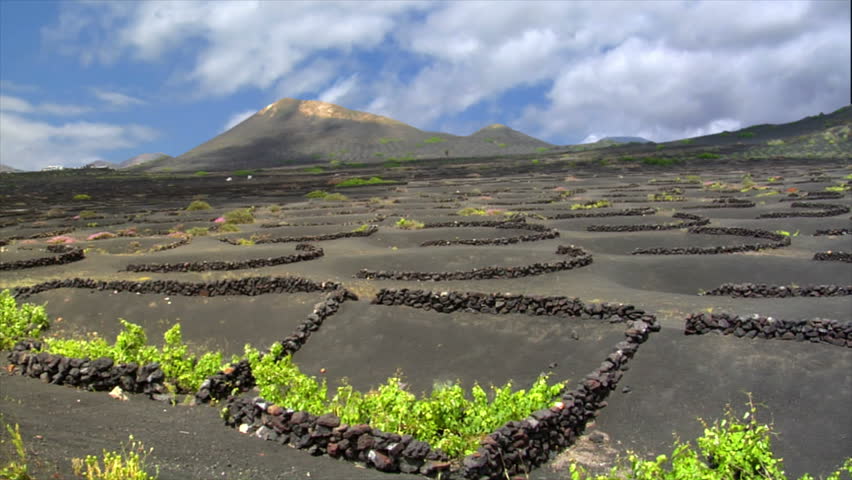 la geria volcanic wine growing region