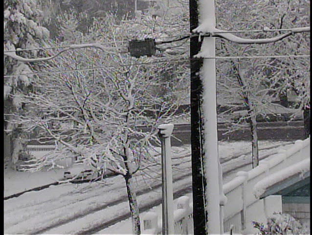 Ice and snow cover everything in a Colorado blizzard
