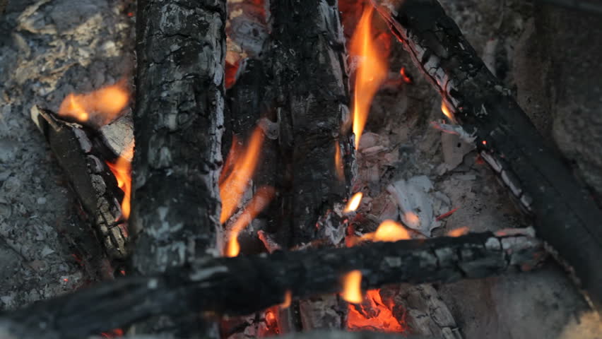 camp fire background