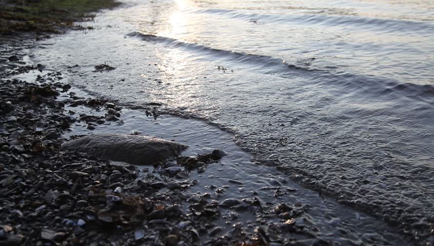 Rocky beach with waves Full HD