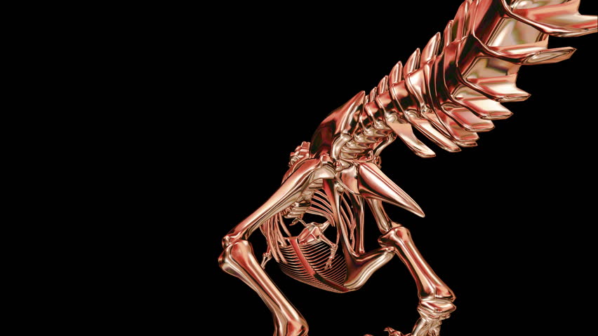 Infinite flight around a golden Skeleton from a copper metallic Dragon. (T-Rex)
