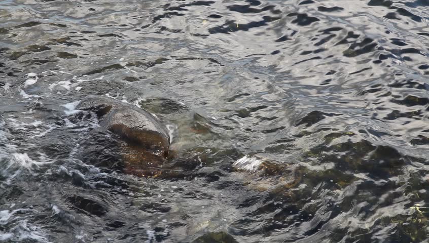 Rock in water Full HD