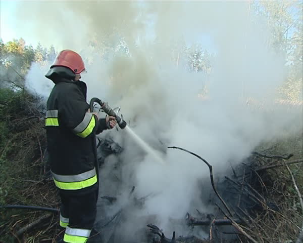Uniformed firefighter with the hose in the hands fighting fire in the forest. 