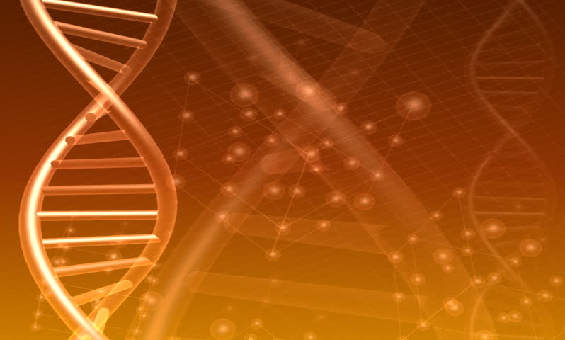 DNA