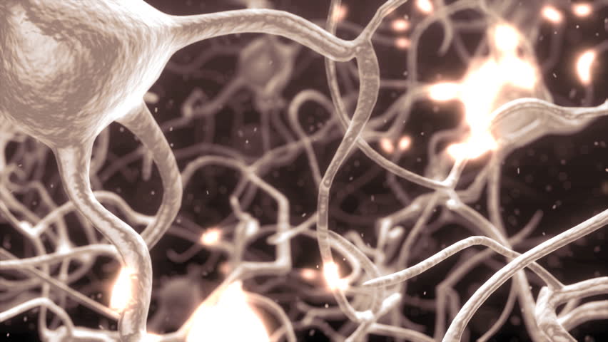 Inside the brain. Concept of neurons and nervous system. (Bright pink color)