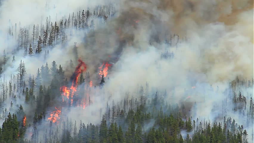 Forest fire in the Rocky Mountains
