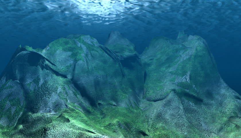 ocean and marine life