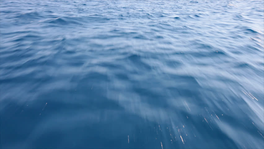 fast flying above the water