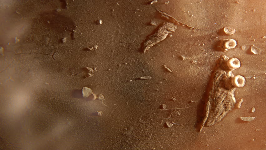 Vapor and ice melt into flesh and stars.