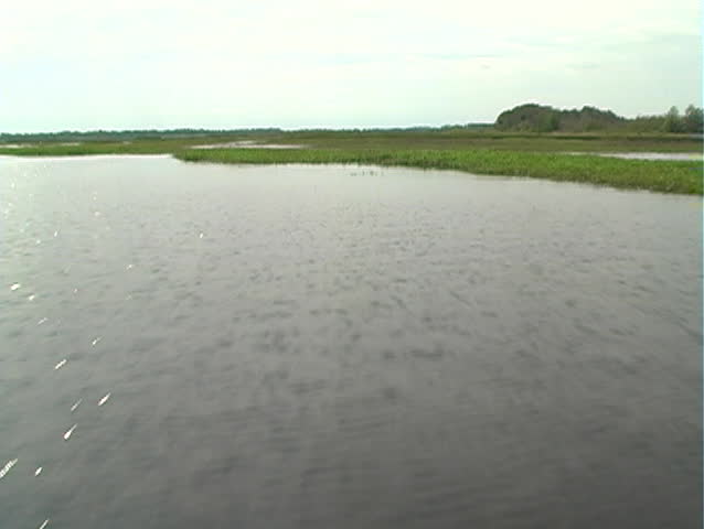 A view of the northernmost part of the Florida everglades from aboard an airboat.  Mini DV with film emulation.  Shot at West Lake Tohopekaliga ("Lake Toho") in Kissimmee, Florida.