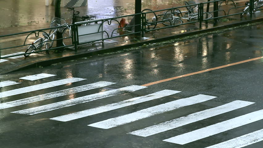 TOKYO, JAPAN - SEPTEMBER 21:  Rain and strong wind during typhoon Roke September 21, 2011, Tokyo, Japan. Landslides and flooding triggered by Typhoon Roke left as many as 13 people dead or missing. 