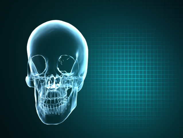 X-Ray Skull and Heart Monitor NT SC