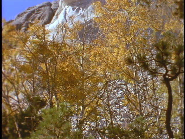 George Washington's head appears above autumn leaves at Mount Rushmore.