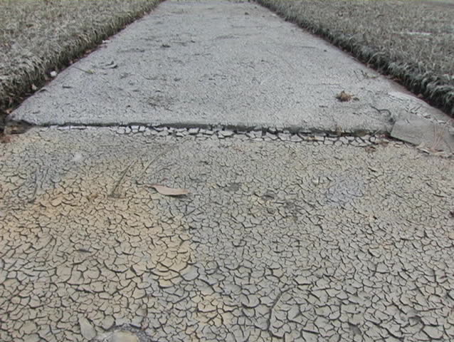 Walking along a sidewalk covered in debris and dried mud just weeks after Katrina had landed in St. Bernard Parish, Louisiana.