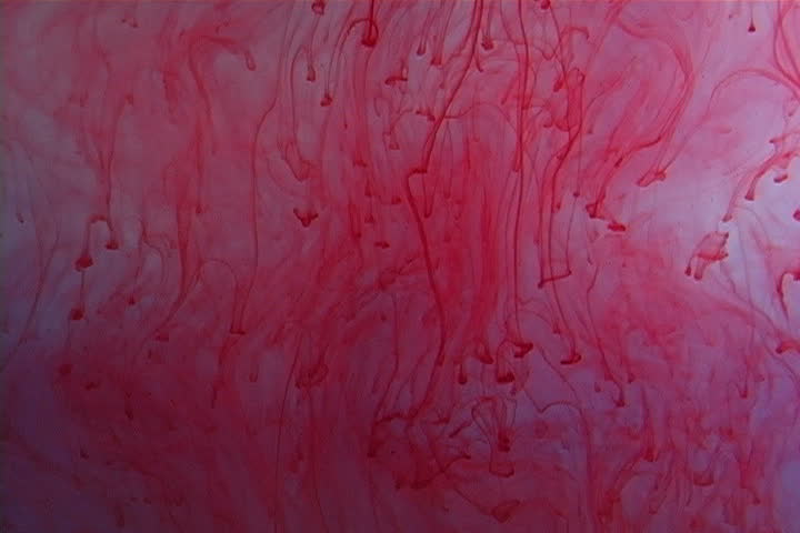 Red ink elegantly flowing in a liquified chamber.