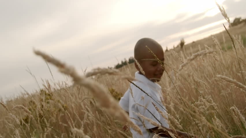 A father and son play in a wheat field on a sunny day.