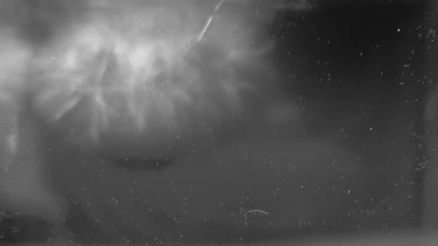 black and white abstract of freezing liquid