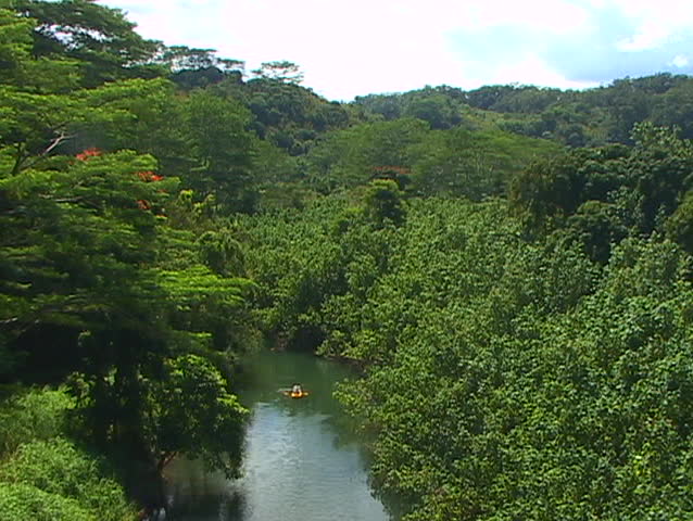 Barely causing a ripple, a kayaker takes his boat down a gentle stream as it flows through lush vegetation.