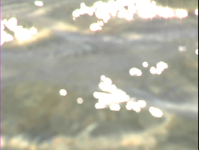Water ripples and sun's reflection