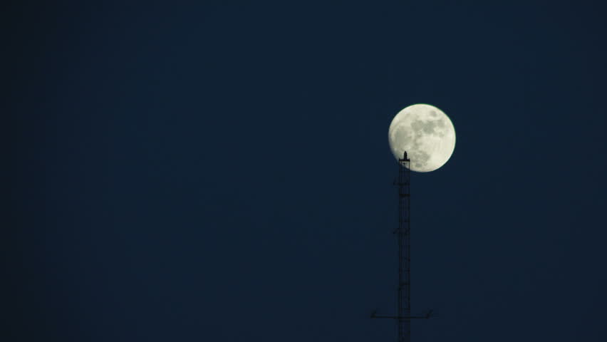 Moon Beacon