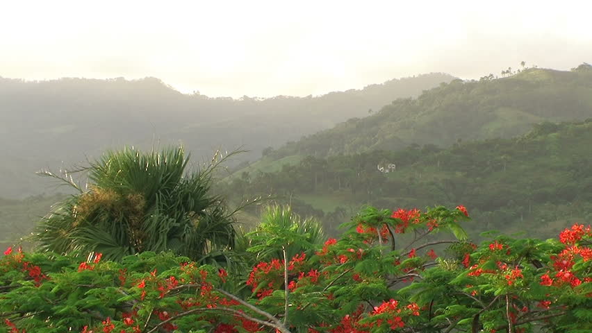  A mountain in a Caribbean island of Dominican Republic.