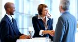 Portrait of African American business man shaking hands with mature executive