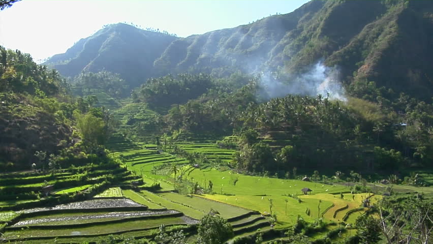 Mist seeps down a mountainside above green terraced rice paddies