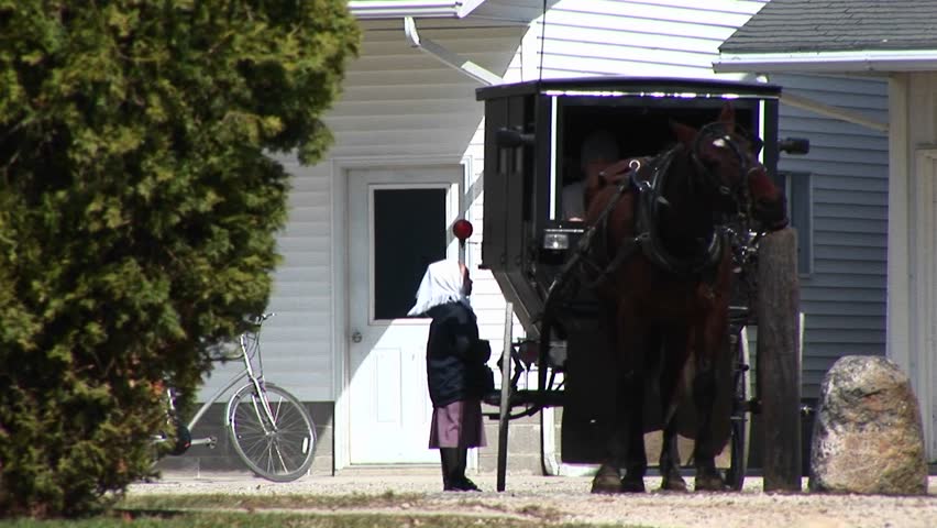 An Amish boy and girl prepare to travel via their horse and buggy.