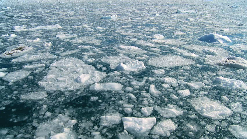 Drifting Arctic Ice Floes