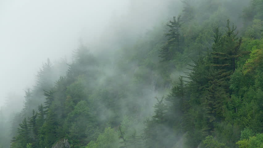 Misty hillsides