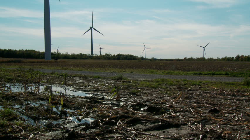 Tilt-up from muddy ground to windmills against sun