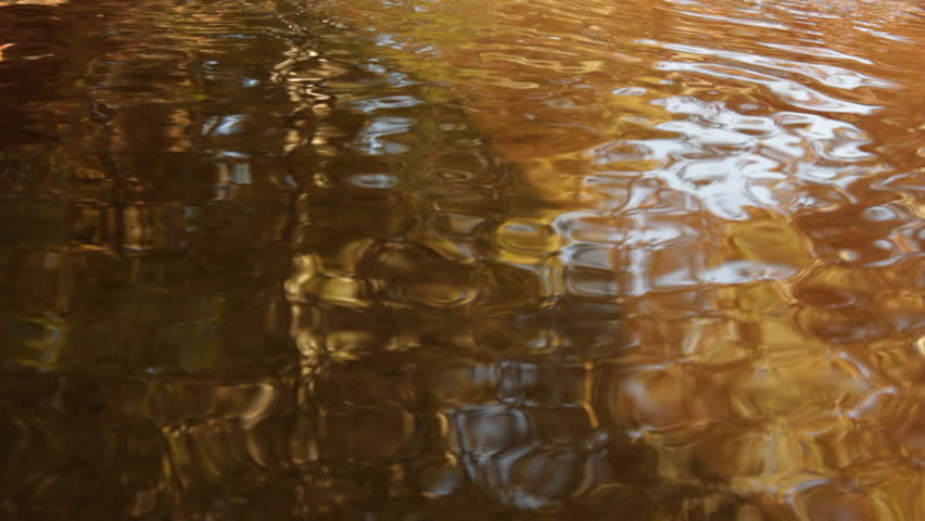 Fall colors are reflected in the dimpled ripples moving gently through the waters of Oak Creek in Sedona, Arizona.
