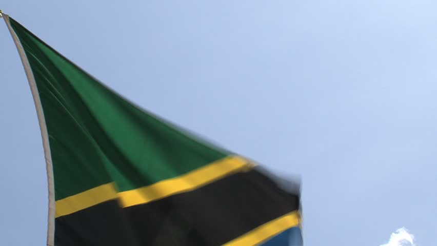 The flag from Tanzania