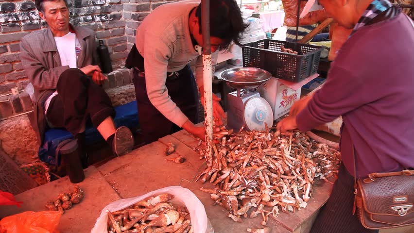 KANGDING, CHINA - AUG 7, 2009: Vendors sort out mushrooms at a market on August 7, 2009 in Kangding.