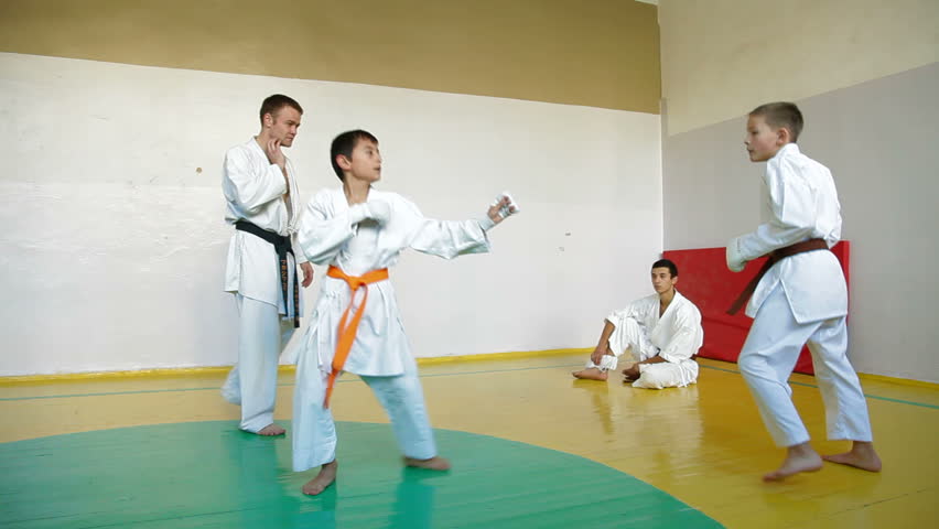 Martial arts instructor training  students