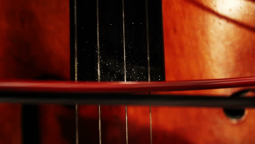 Double Bass bow extreme closeup change focus